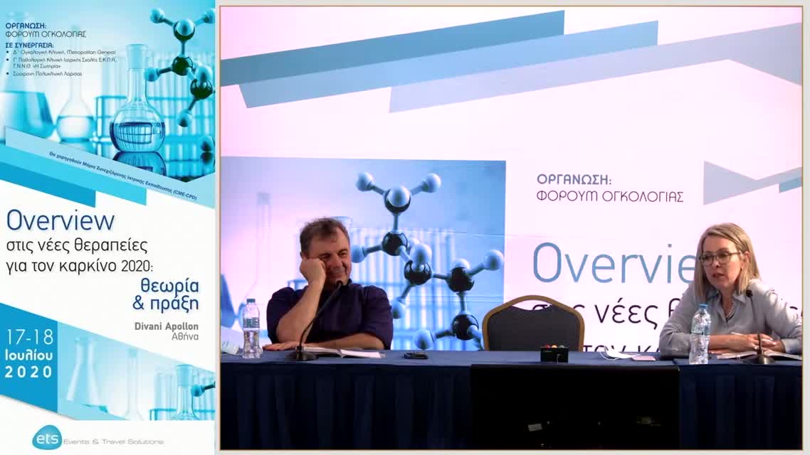 06 Σ. Διαμαντή - Συζήτηση- σχολιασμός